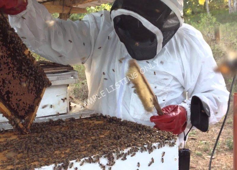 Sweet Republic of Congo Honey